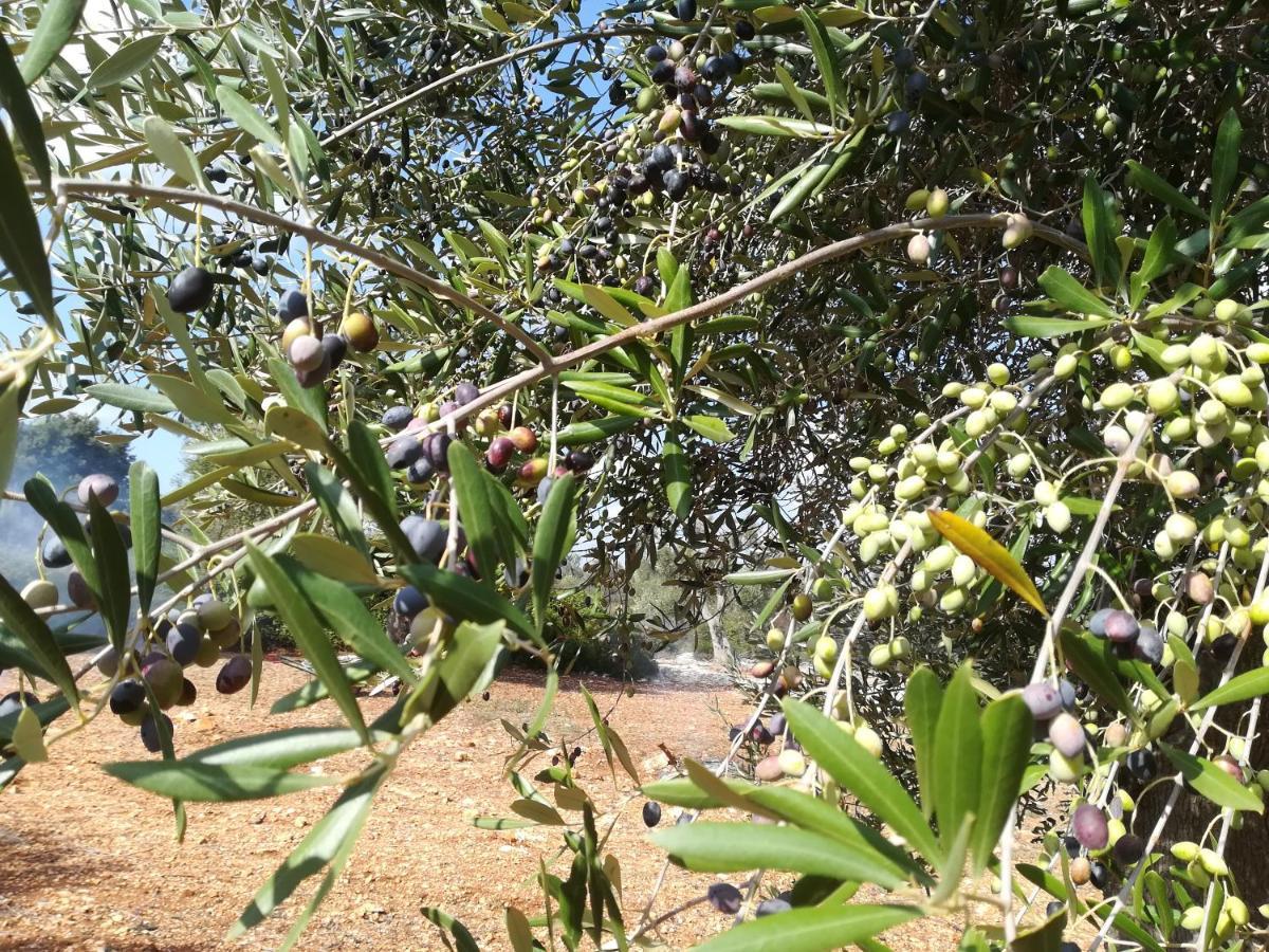Trullo Alessandro E Villa Raffaela San Vito dei Normanni Εξωτερικό φωτογραφία