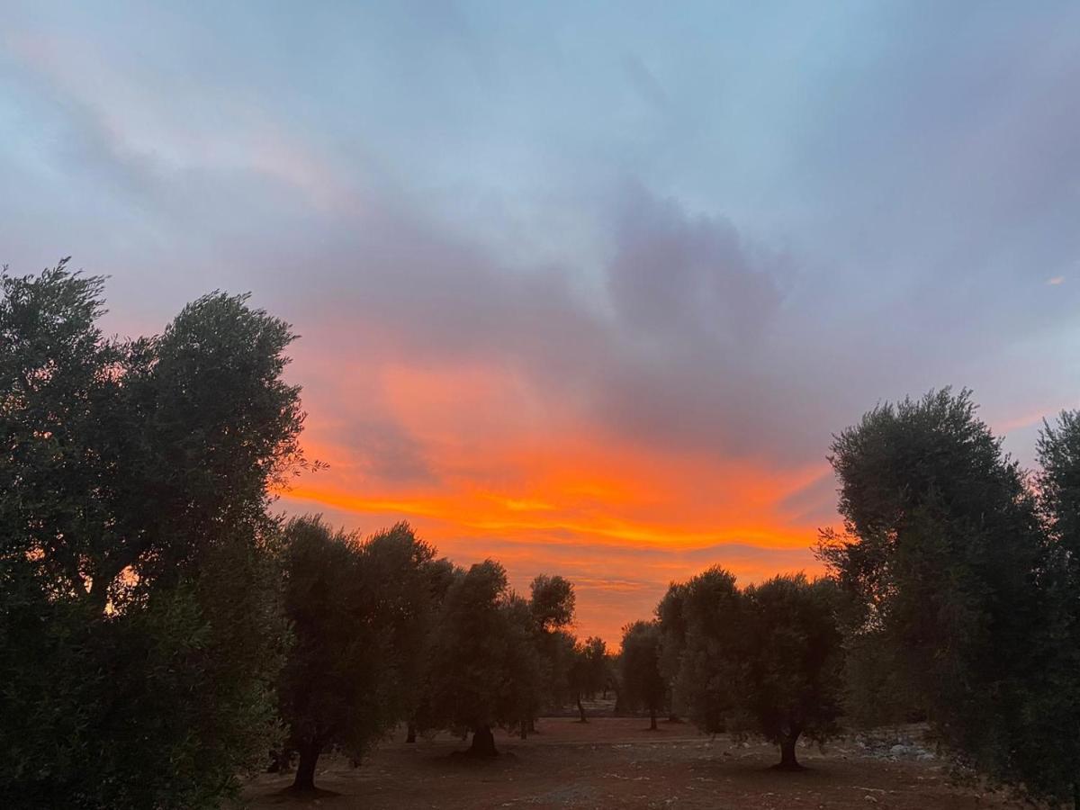 Trullo Alessandro E Villa Raffaela San Vito dei Normanni Εξωτερικό φωτογραφία